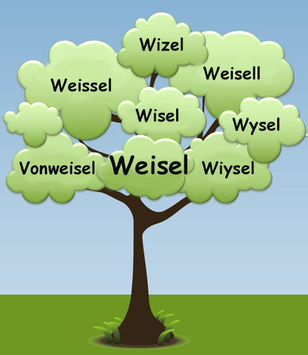 Weisel tree image