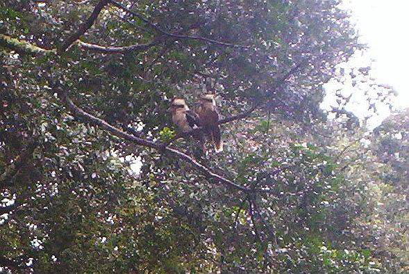 006lunchtimebombersb