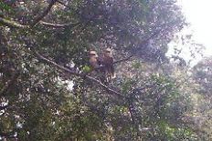 006lunchtimebombersb